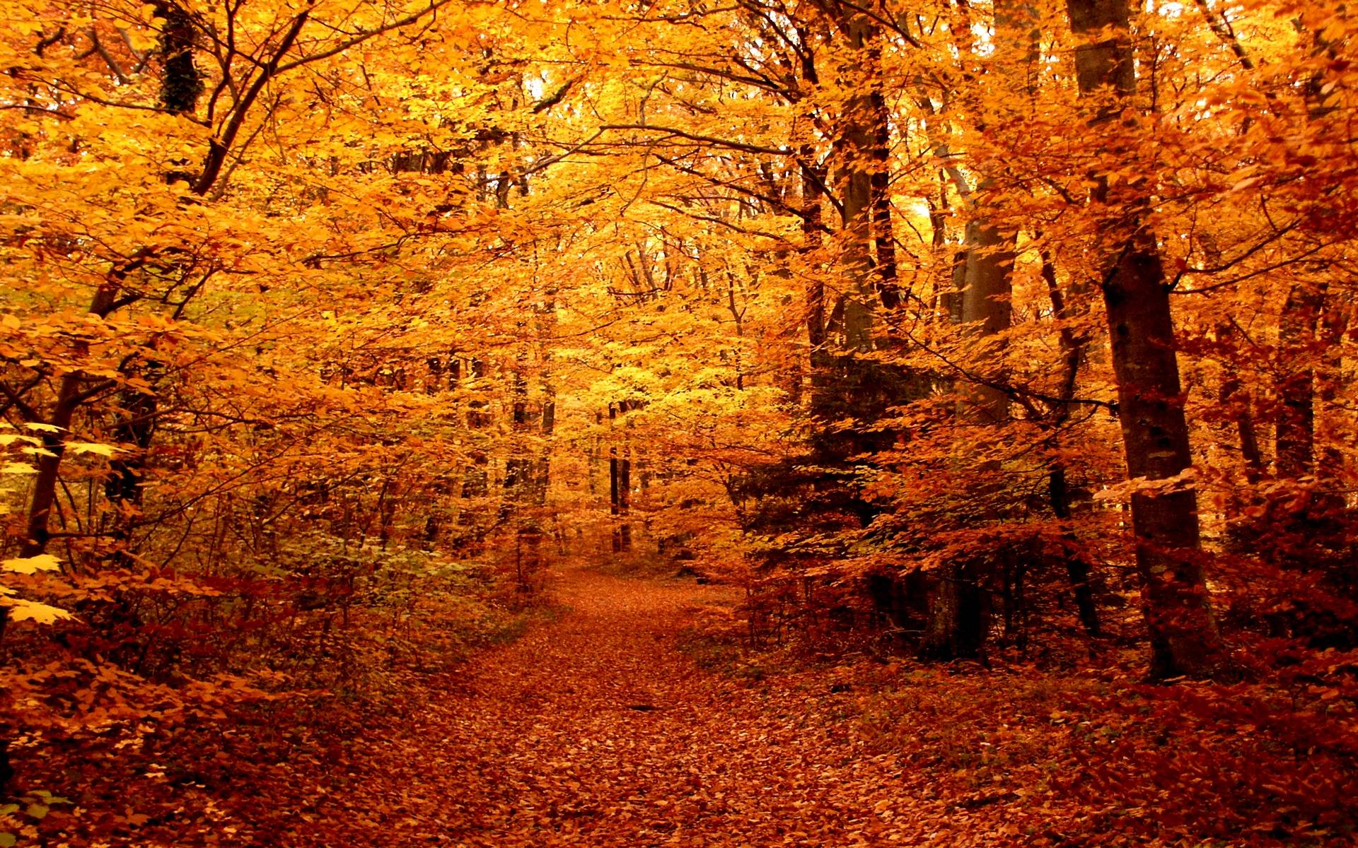 Fall 2021 Week 3 - Now on a new day!